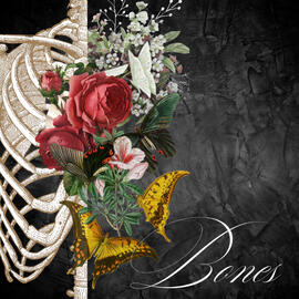 Bones Album Cover